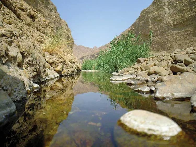 Wadi Wurayah wadi in Fujairah, United Arab Emirates