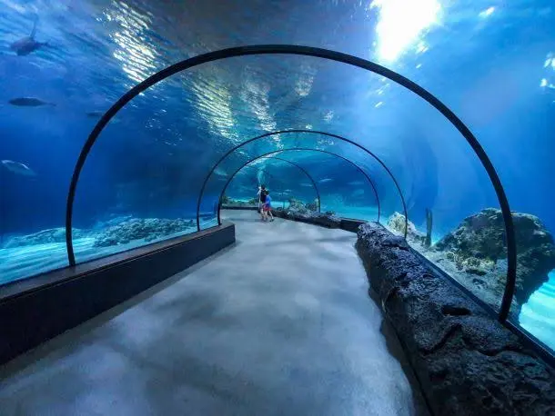 Sharjah Aquarium aquarium in Sharjah, United Arab Emirates